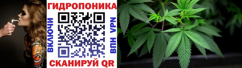 Марихуана OG Kush  Купить  Иркутск 